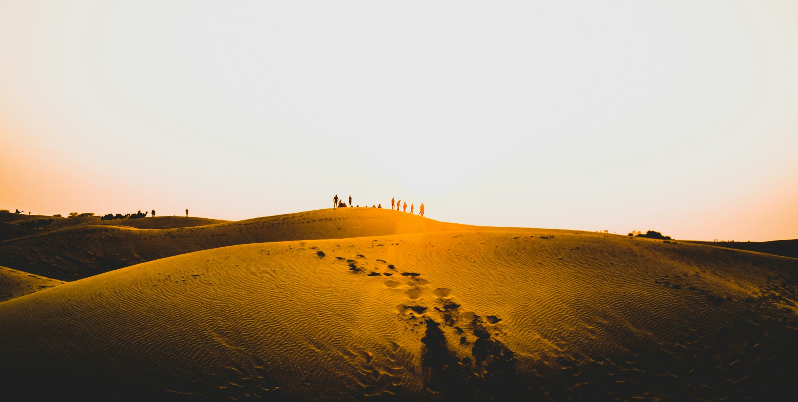 Thar Desert Safari Guide