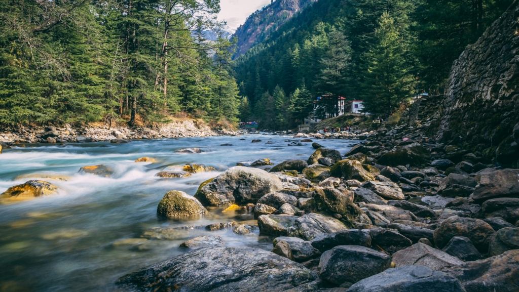 Bachelor Party in Kasol
PC: Ashwini Chaudhary(Monty) - https://unsplash.com/photos/river-in-the-middle-of-forest-during-daytime-EEsqZyA8b0E