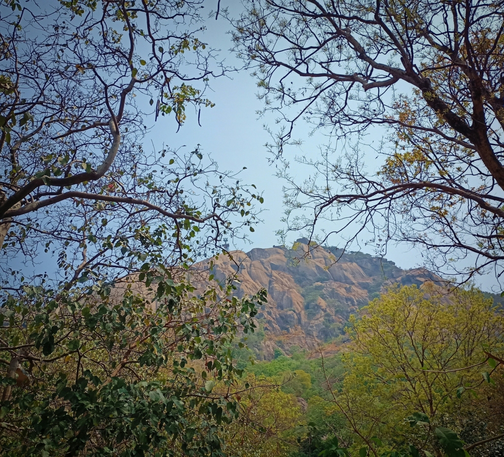 treks near bhimtal