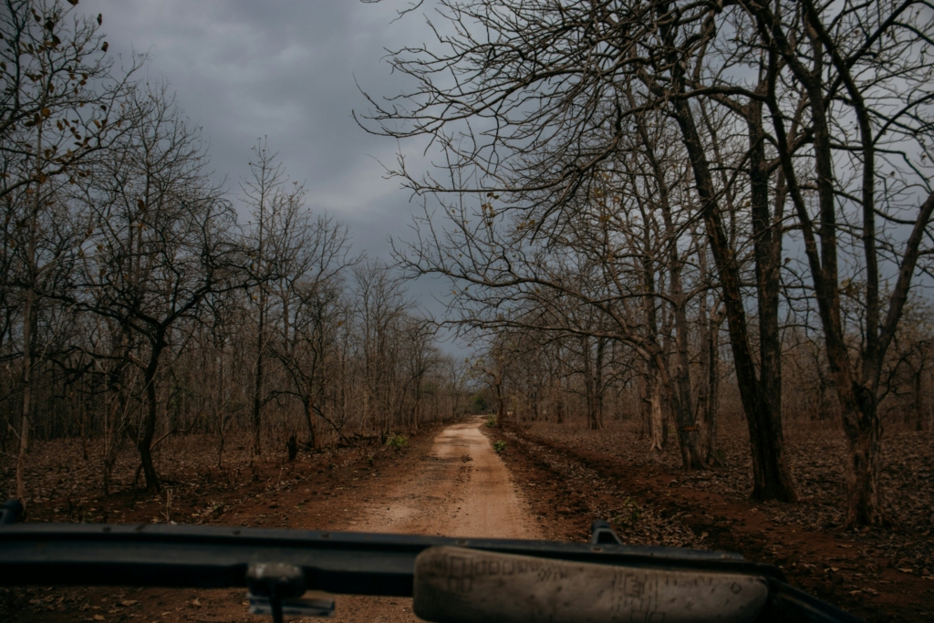 Pench National Park