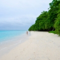 beaches in Havelock Island PC: Jayanth Muppaneni via Unsplash https://unsplash.com/photos/two-people-walking-on-a-beach-near-the-ocean-Ut51vu0lUl0