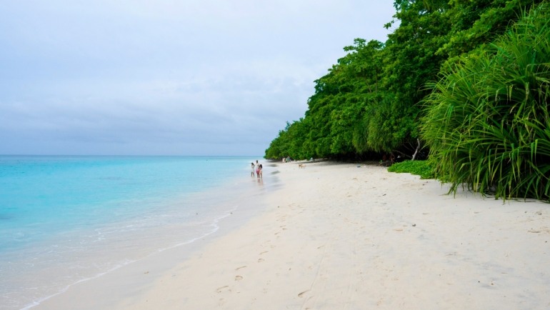 beaches in Havelock Island PC: Jayanth Muppaneni via Unsplash https://unsplash.com/photos/two-people-walking-on-a-beach-near-the-ocean-Ut51vu0lUl0