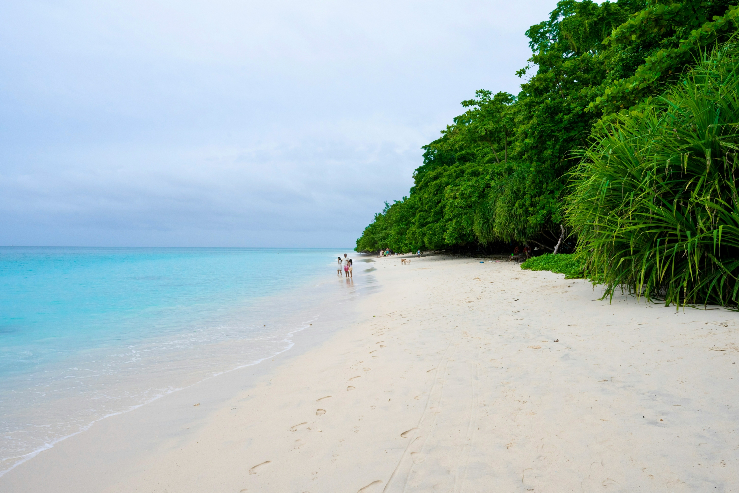 beaches in Havelock Island PC: Jayanth Muppaneni via Unsplash https://unsplash.com/photos/two-people-walking-on-a-beach-near-the-ocean-Ut51vu0lUl0