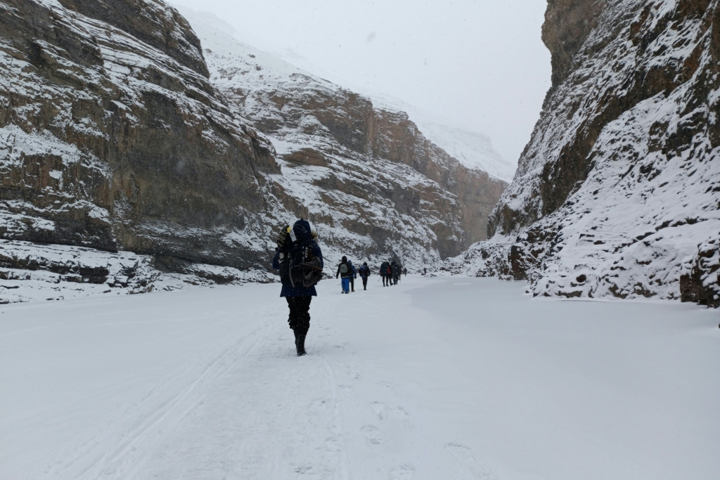 Winter treks in India, Chadar trek in Ladakh
PC: Joshi Milestoner - https://unsplash.com/photos/a-group-of-people-walking-down-a-snow-covered-road-CSVOBqJyGCM