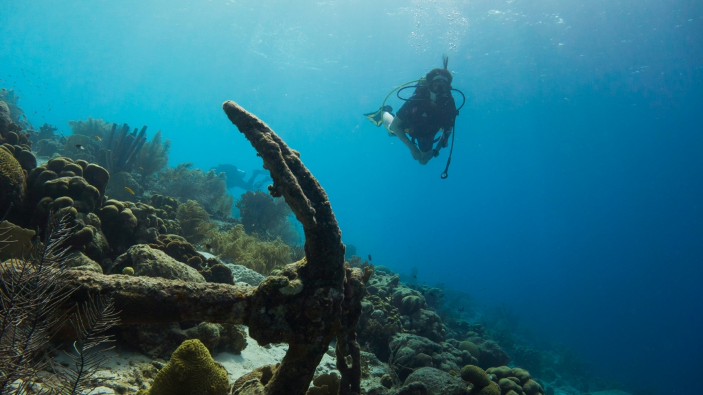 Scuba diving in Havelock Island 

PC: 
Kris-Mikael Krister via Unsplash 
https://unsplash.com/photos/scuba-diver-swimming-underwater-CliuXLGbKV4