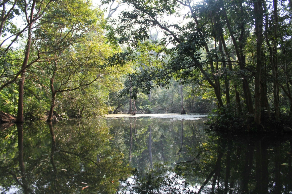 Panna National Park