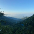 Tirupati Balaji temple in Tirumala hills