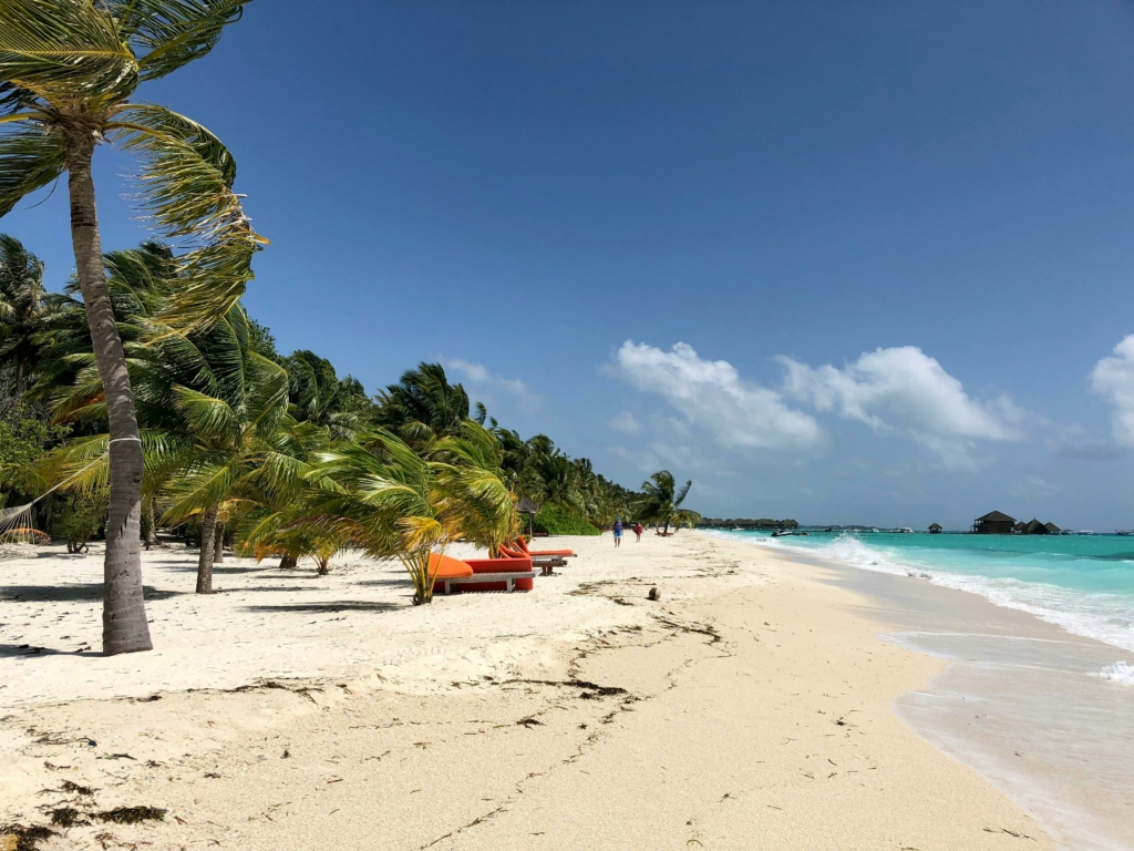 One of the best places to visit in Havelock Island is the beach.