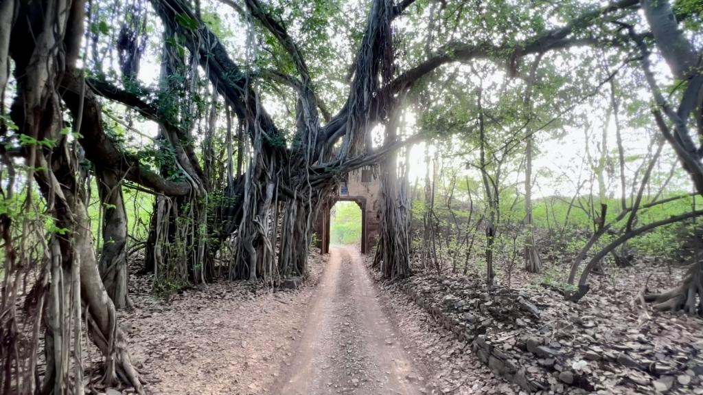 Ranthambore National Park