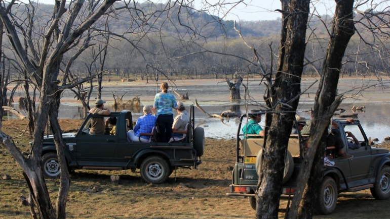 Best things to do in Jim Corbett