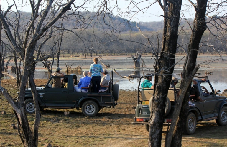 Best things to do in Jim Corbett