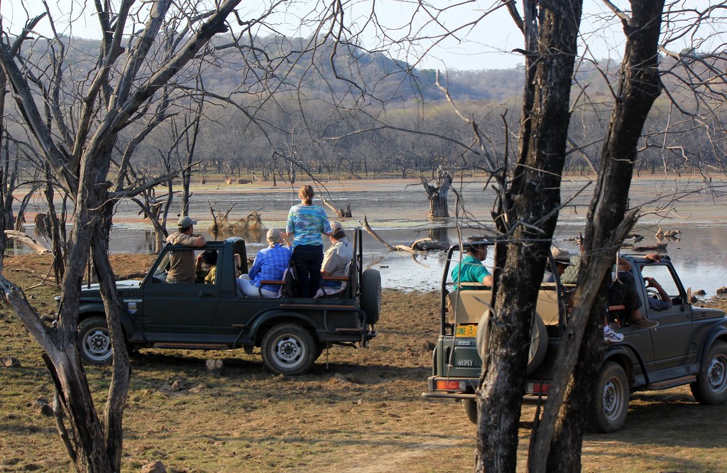 Best things to do in Jim Corbett