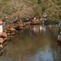 Kerala in December