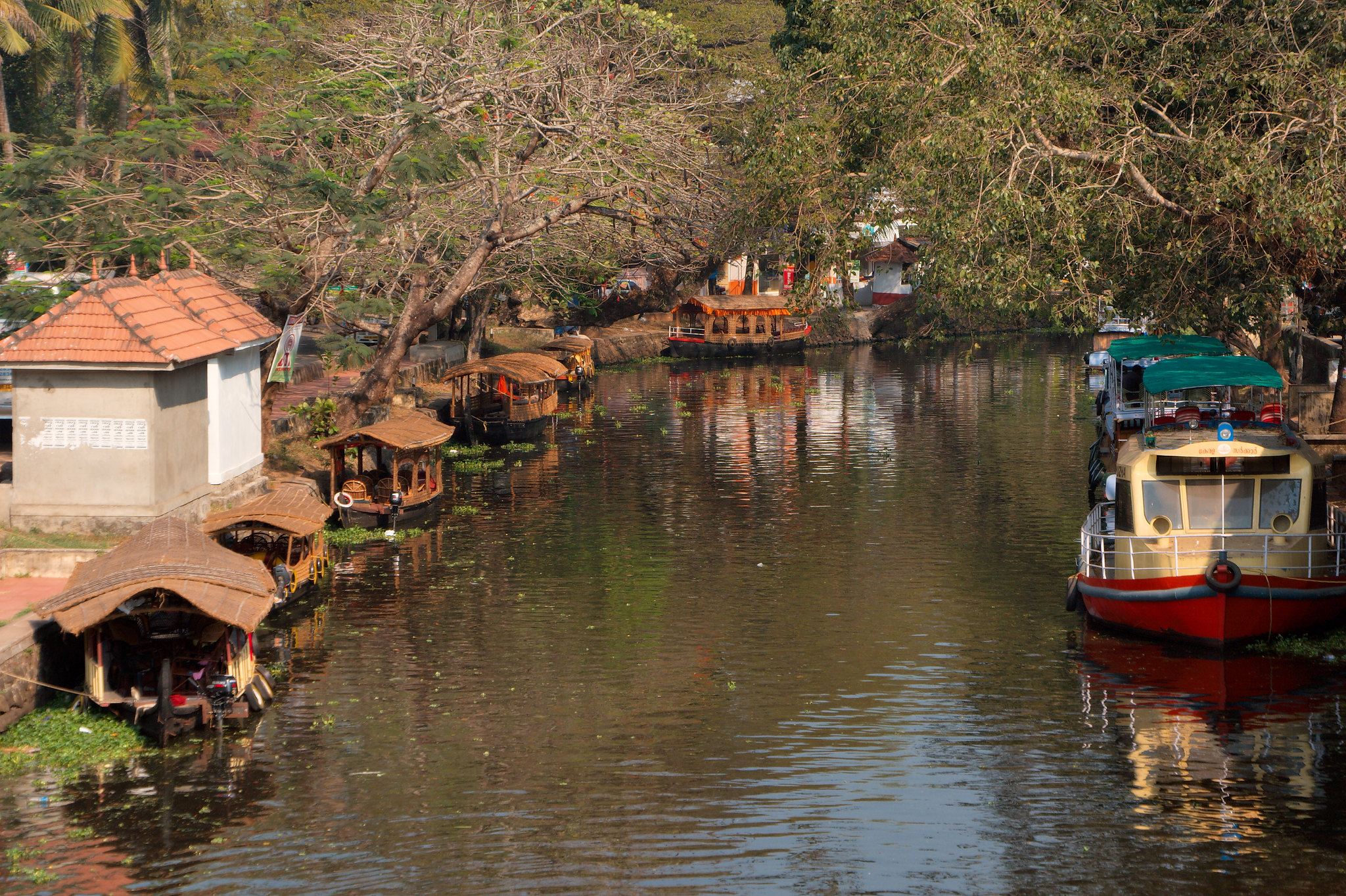 Kerala in December