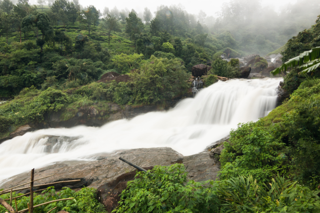 Blackberry Hill - Attukad Falls