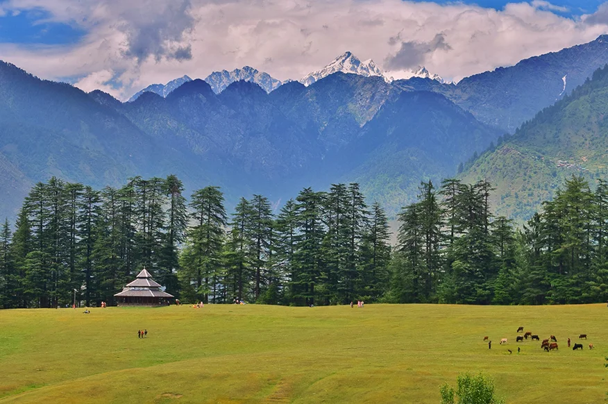 shangarh meadows in sainj valley