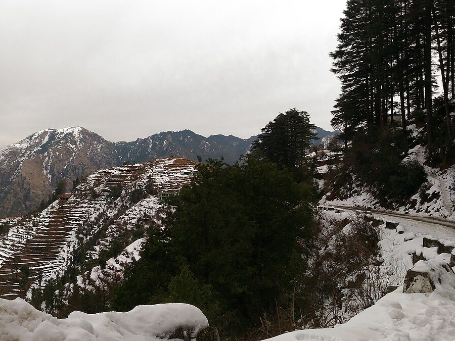 Mussoorie: Winter destination with snowfall for 2024 bucket list
