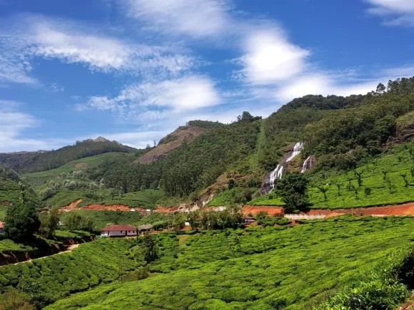 Munnar, Kerala