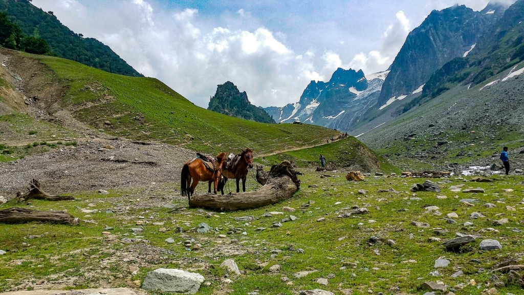 Horse riding in Sonmarg
PC: Madhumita Das - https://commons.wikimedia.org/wiki/File:Sonmarg,_Kashmir,_India.jpg