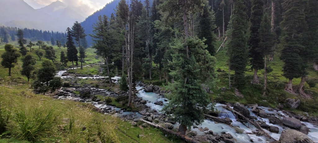 Follow the Sindh River in Sonmarg