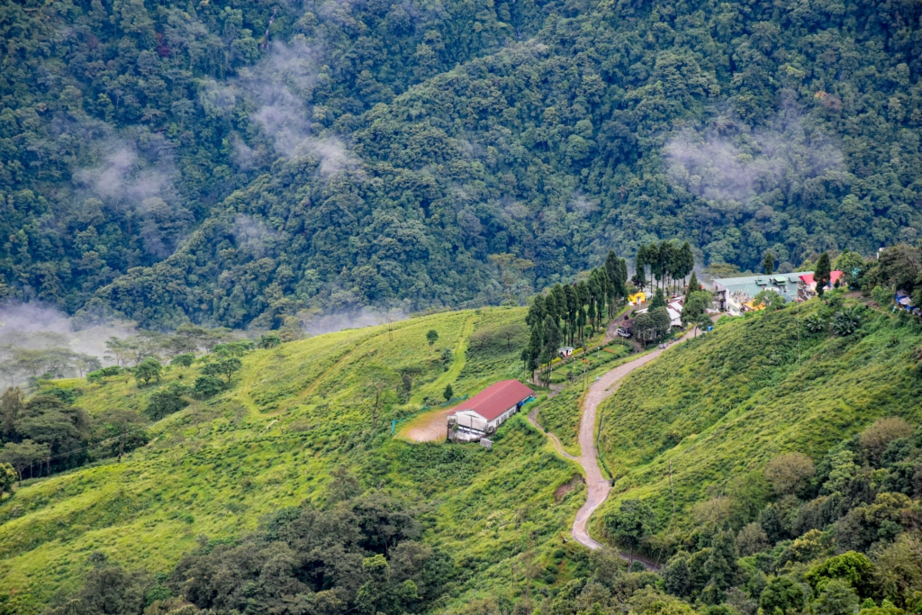 Spend your honeymoon in Darjeeling