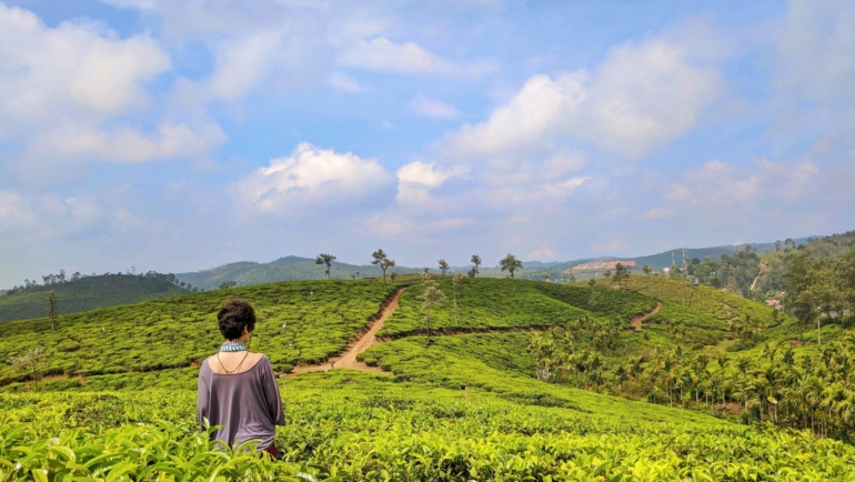 Tea Plantations and Hiking in Munnar