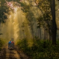 Jim Corbett in November and December