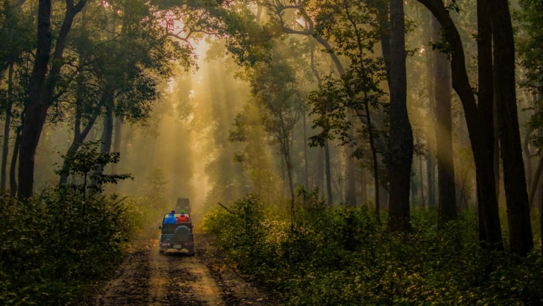 Jim Corbett in November and December