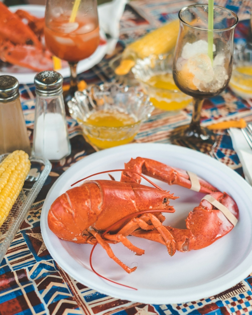 Good restaurants in Havelock Island
PC: Daniel Norris - https://unsplash.com/photos/lobster-in-plate-PdK_Cu876aE