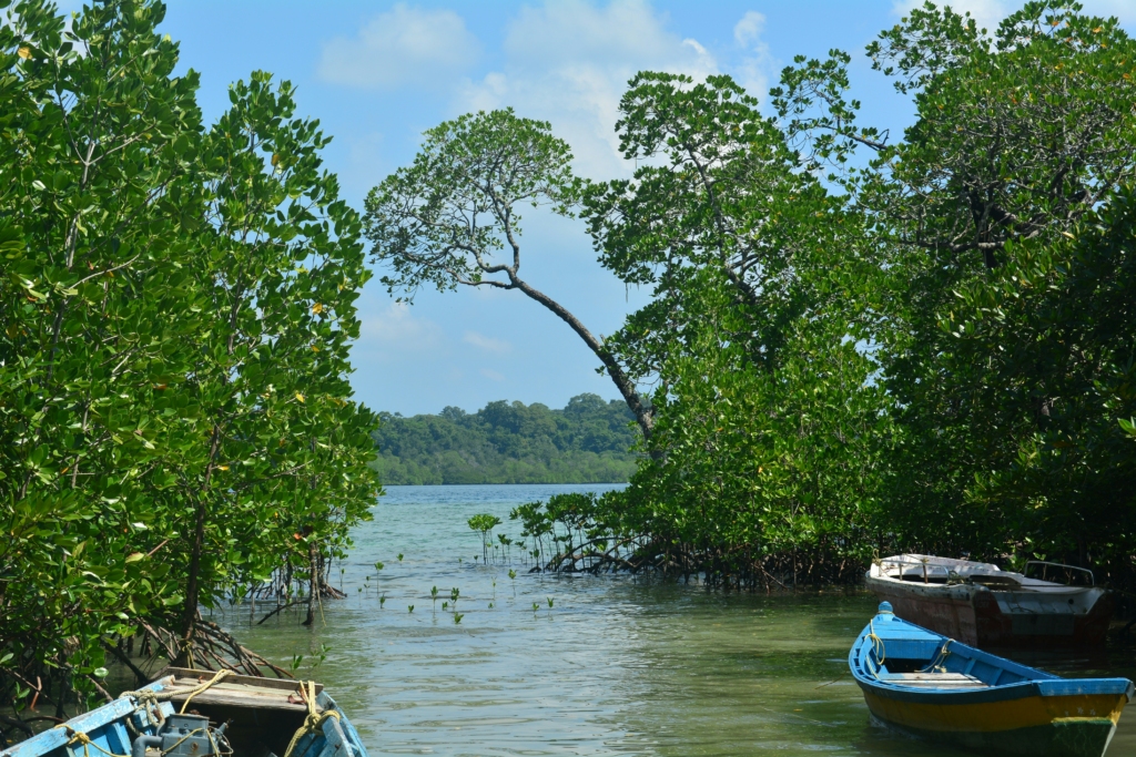 Havelock Island in November
PC: Dileesh Kumar - https://unsplash.com/photos/a-group-of-boats-floating-on-top-of-a-river-YpUdsN-4UgM