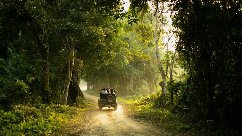 safaris in ranthambore in january