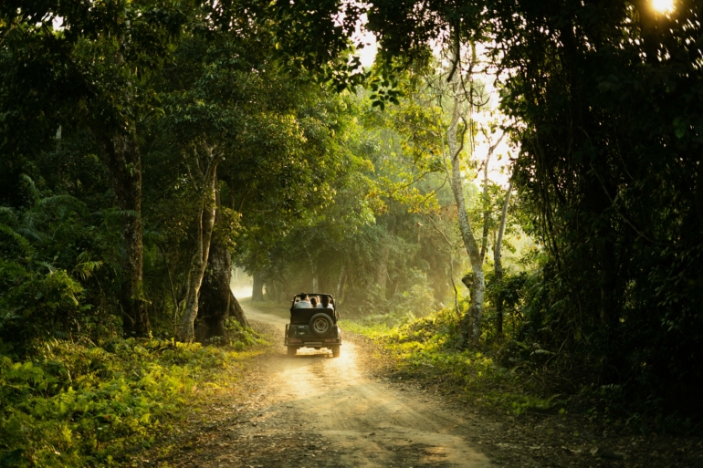 safaris in ranthambore in january