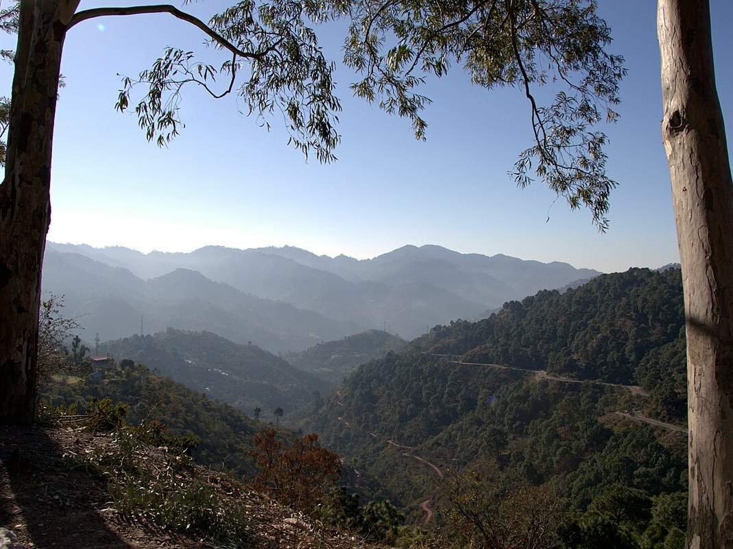 Kasauli – A Quiet Mountain Embrace