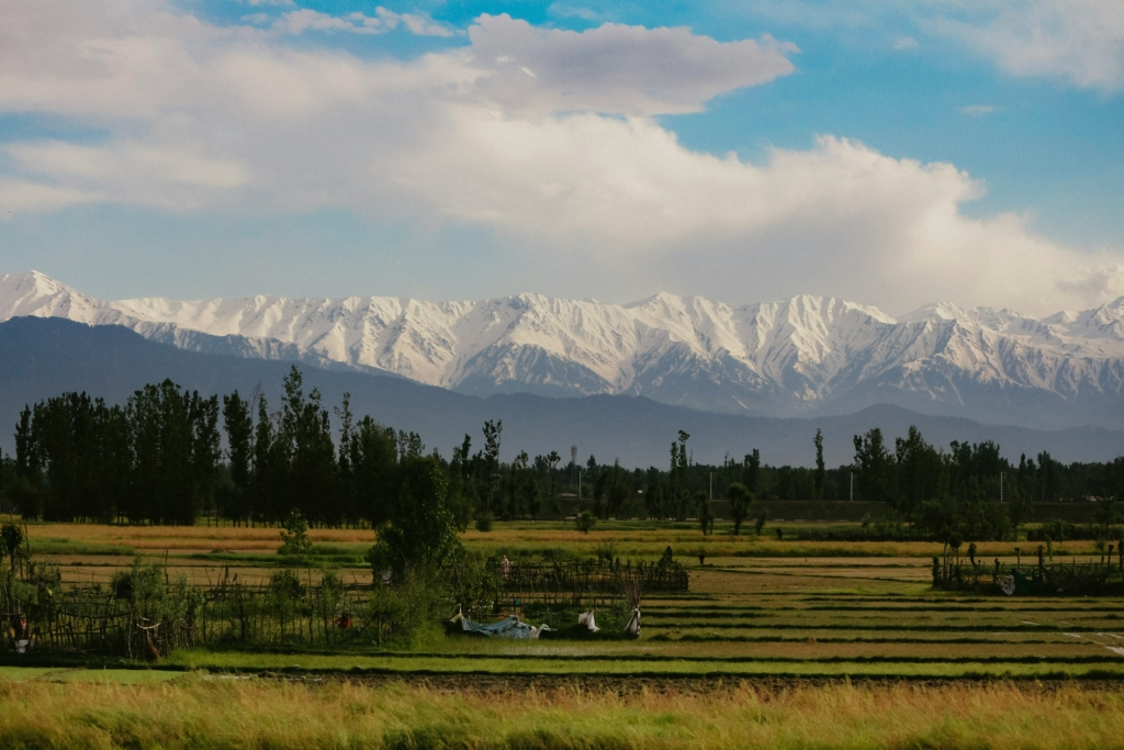 Kashmir is one of the best destinations for winter photography in India