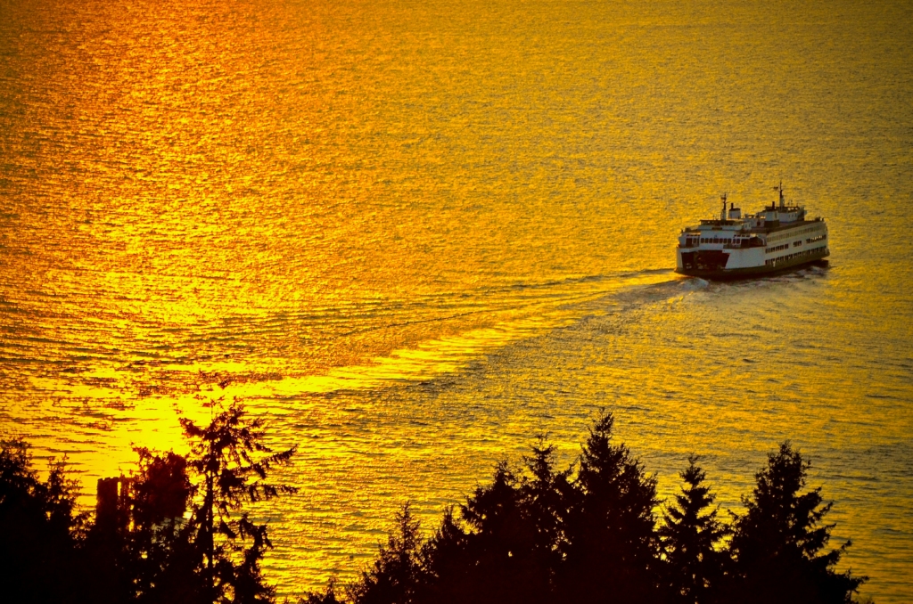 How to reach Havelock Island by ferry
PC: Patrick Robinson - https://unsplash.com/photos/white-boat-sailing-on-water-DL1OVhGo5_8