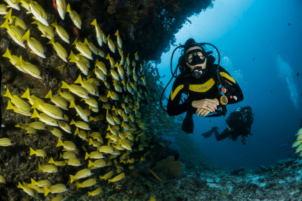 scuba diving in tarkarli