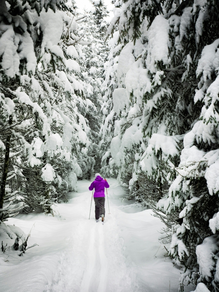 things to do in Sonmarg - Skiing