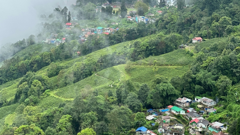 things to do in darjeeling