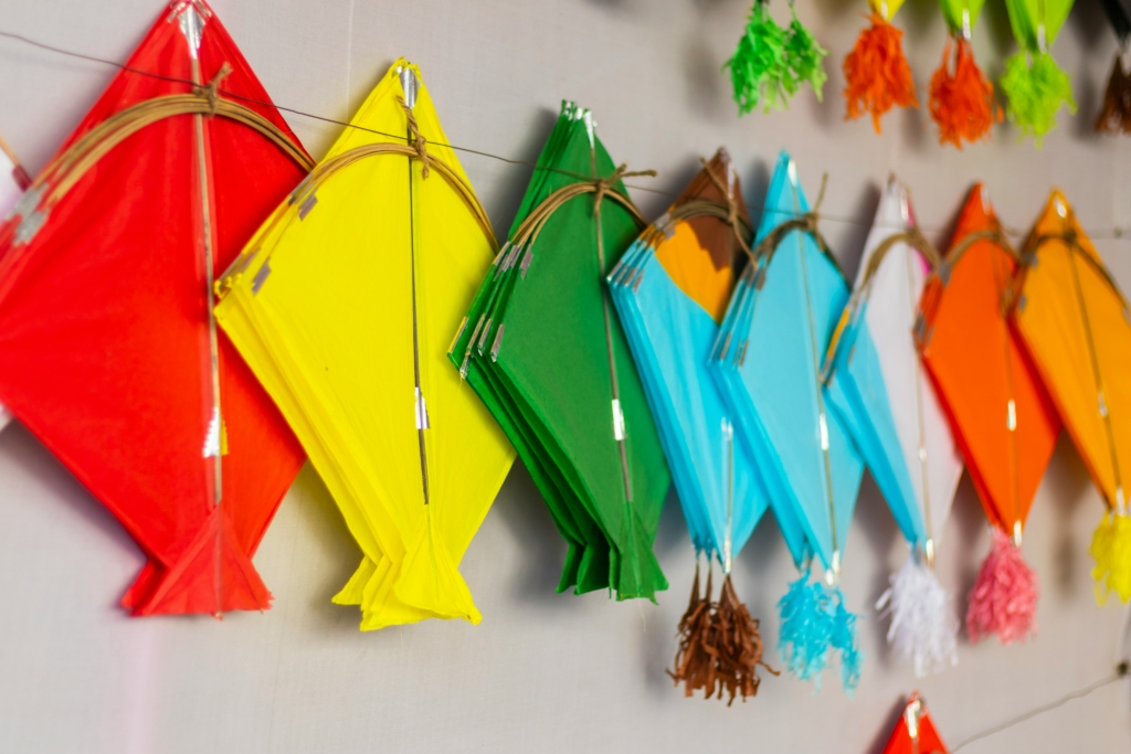 Kite Festival at Rann of Kutch