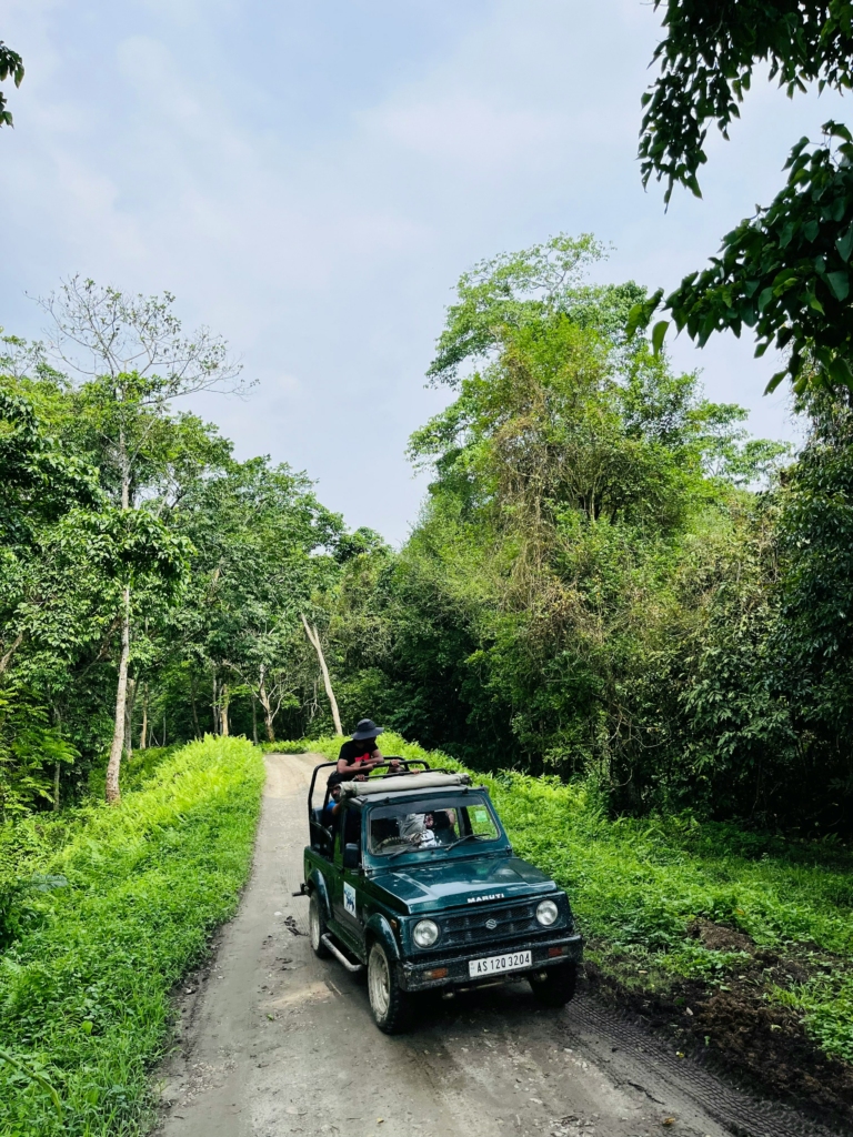 Safari in Kabini