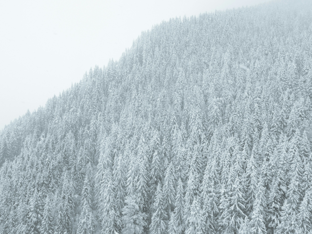 snowfall in gulmarg