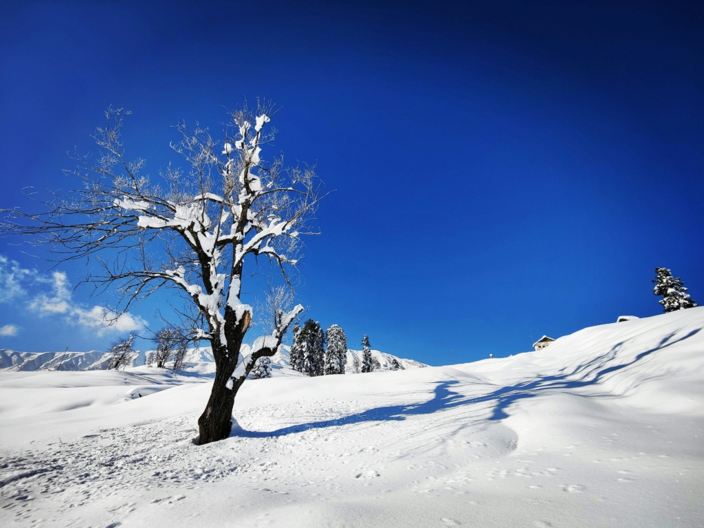 best time for skiing in Gulmarg