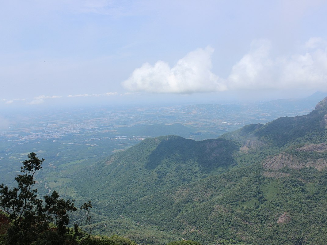 Doddabetta Peak in Ooty, Tamil Nadu: Reach for the Sky