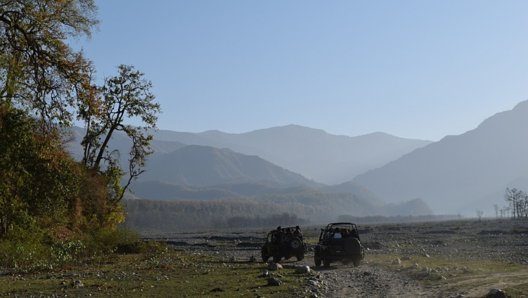 Jim Corbett to Ranthambore: Journey Through The Must Visit National Parks in North India