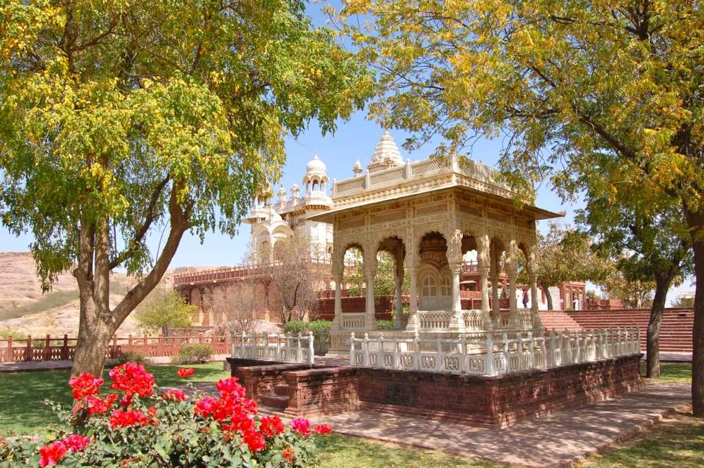 One of the best things to do in Jodhpur is kickback at the gardens