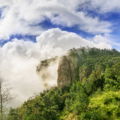 Best Places to visit in Kodaikanal