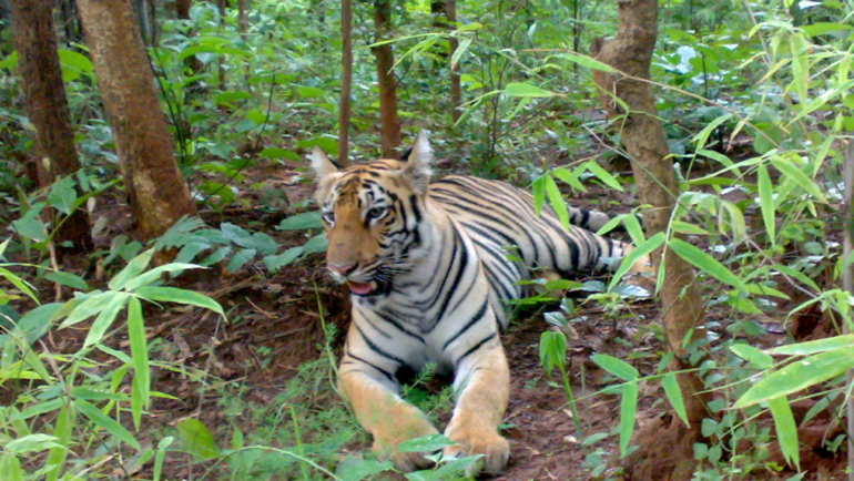 how to reach ranthambore