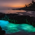 places in India that glow in the dark