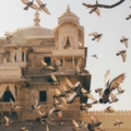 jaipur