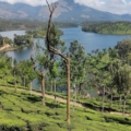 ooty views which are the best places to visit in january in India